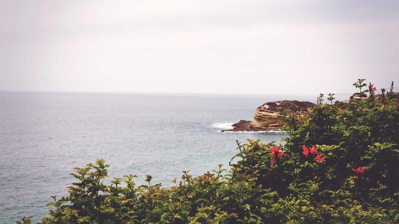 Iron Fortress Gear Puzzle